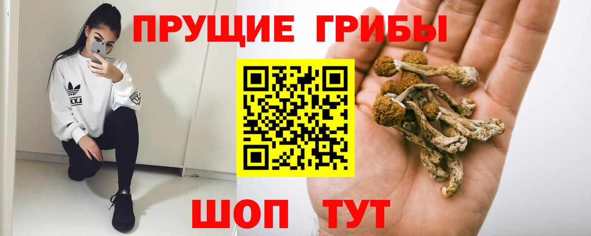 Когалым  Галлюциногенные грибы Magic Shrooms  Вход с VPN 